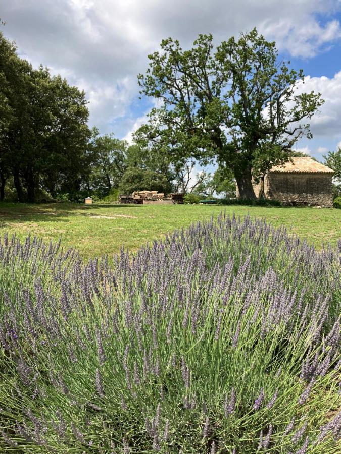 Villa La Bastide Des Roman Vernegues Exterior foto